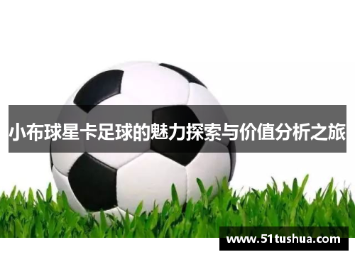 小布球星卡足球的魅力探索与价值分析之旅